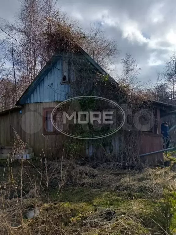 Участок 11 сот. (СНТ, ДНП) - Фото 0