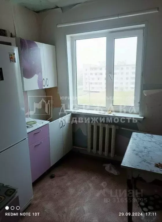 2-к кв. Амурская область, Райчихинск Музыкальная ул., 28А (43.0 м) - Фото 1