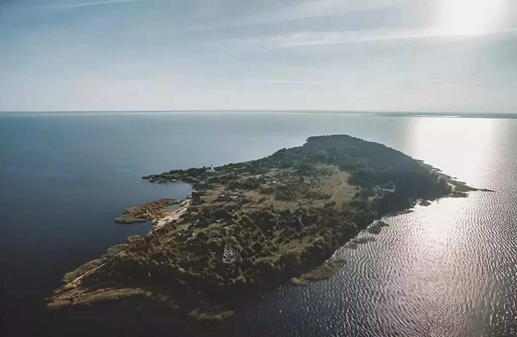 Участок в Псковская область, Псковский район, Залитских островов тер., ... - Фото 1