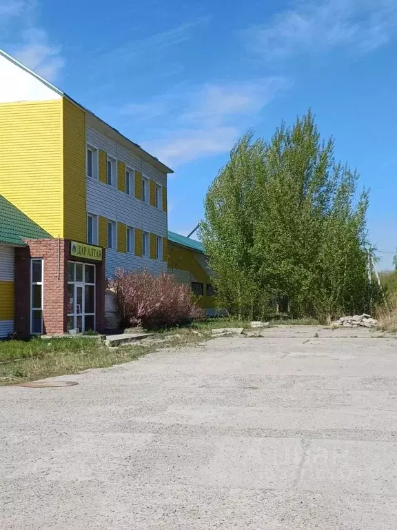 Помещение свободного назначения в Алтайский край, Барнаул Звездная ... - Фото 0