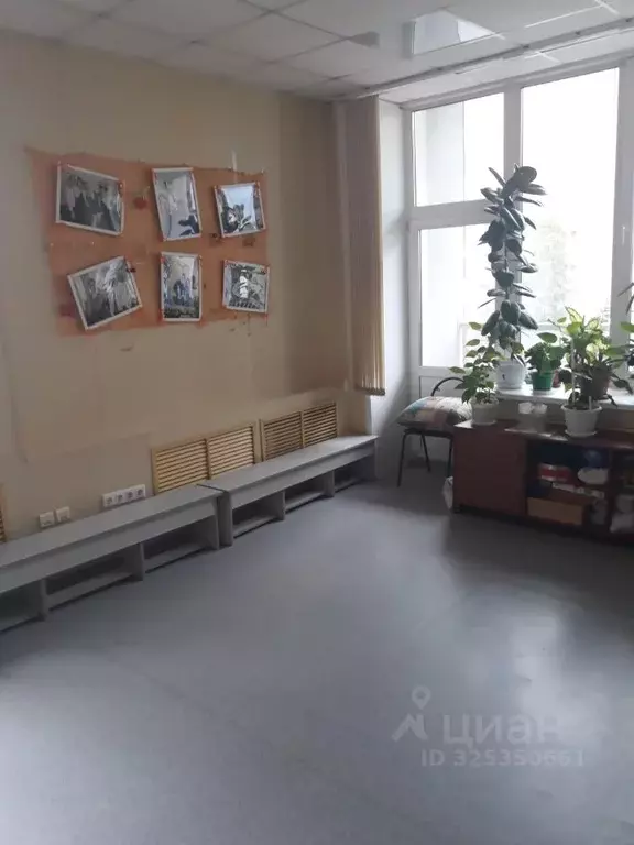 Помещение свободного назначения в Новосибирская область, Новосибирск ... - Фото 1