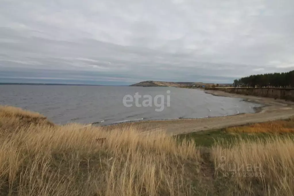 Участок в Ульяновская область, Новоульяновск городской округ, с. ... - Фото 0