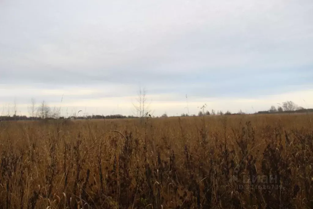 Участок в Московская область, Шаховская муниципальный округ, с. Белая ... - Фото 1