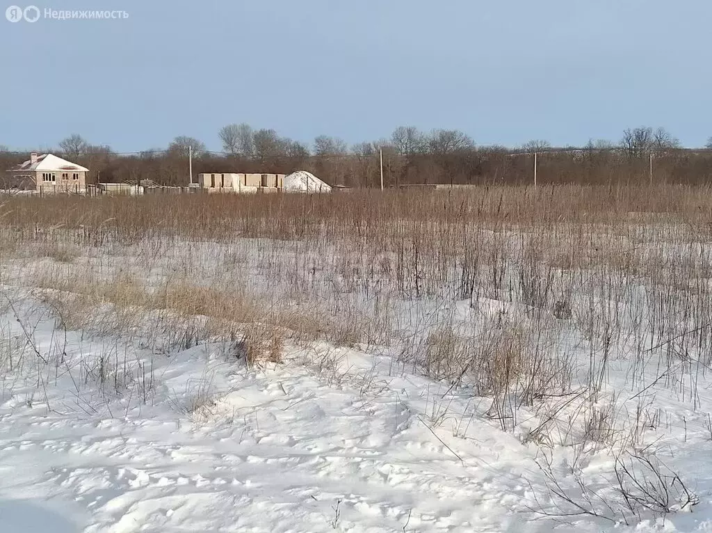 Участок в хутор Новая Пролетарка, Озёрная улица (15 м) - Фото 0