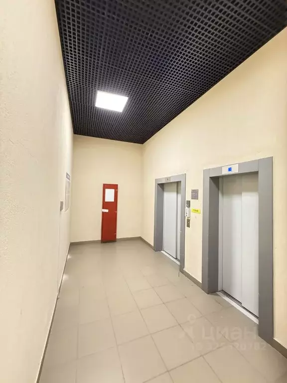 2-к кв. Москва Рязановское поселение, ул. Гореловская, 3 (58.6 м) - Фото 2