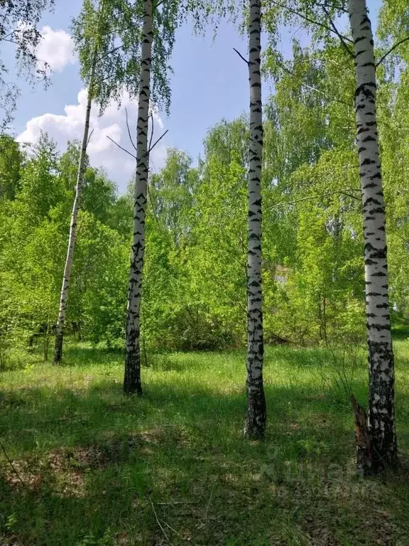 Участок в Татарстан, Верхнеуслонский район, Набережно-Морквашское ... - Фото 0