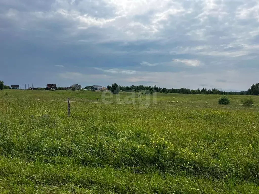 Участок в Вологодская область, Кирилловский муниципальный округ, с. ... - Фото 1