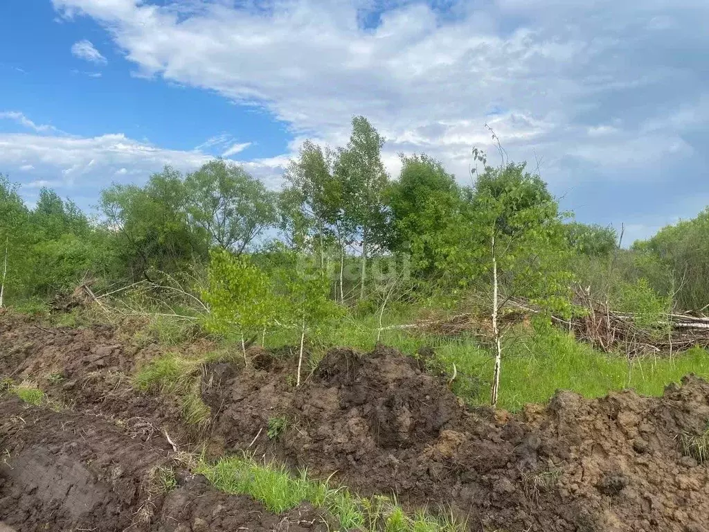 участок в амурская область, благовещенск (13.8 сот.) - Фото 1