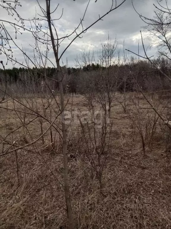 Участок в Курганская область, Далматово Советская ул. (15.0 сот.) - Фото 0