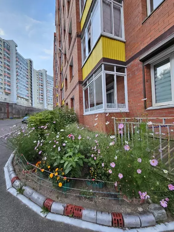 1-к кв. Иркутская область, Иркутск ул. Маршала Конева, 38 (34.8 м) - Фото 1