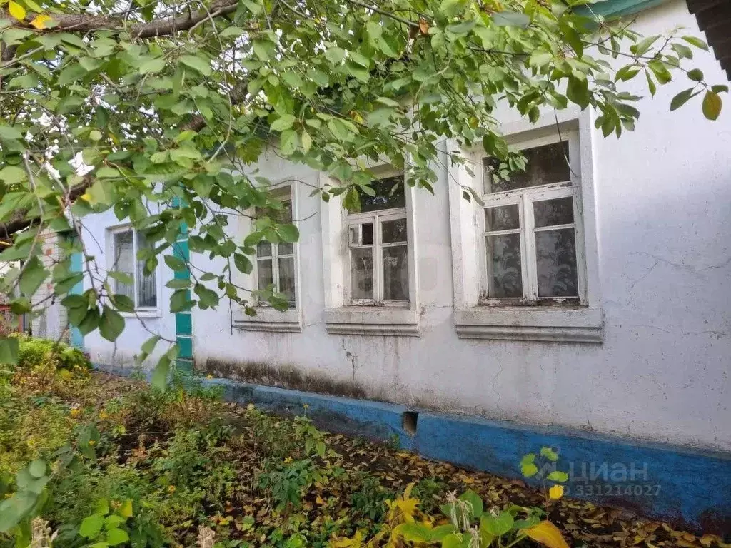 Дом в Белгородская область, Губкин Коммунистическая ул., 24 (69 м) - Фото 1