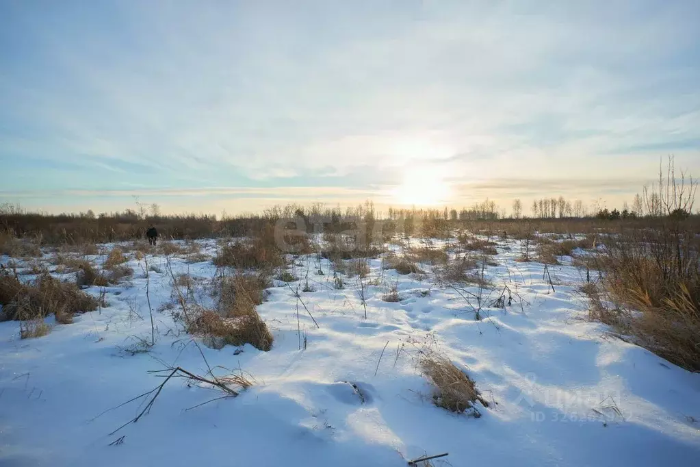 Участок в Тюменская область, Тюмень  (7.7 сот.) - Фото 1