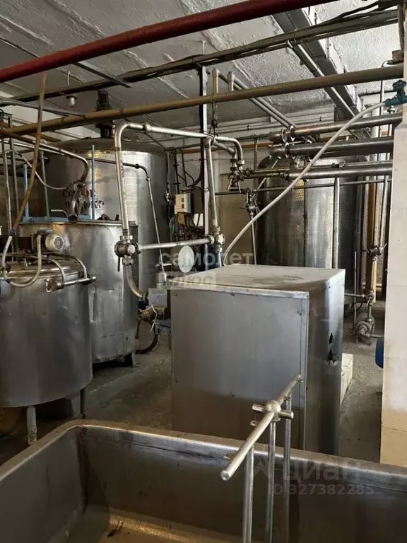 Производственное помещение в Челябинская область, Красноармейский ... - Фото 1