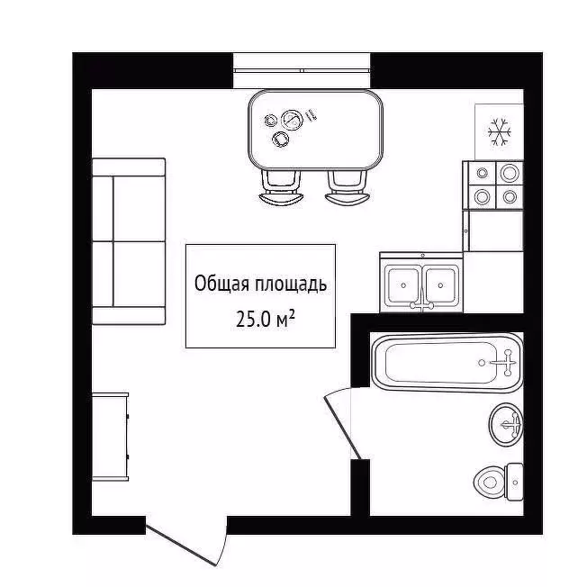 Квартира-студия: Новосибирск, Красный проспект, 59 (25 м) - Фото 0
