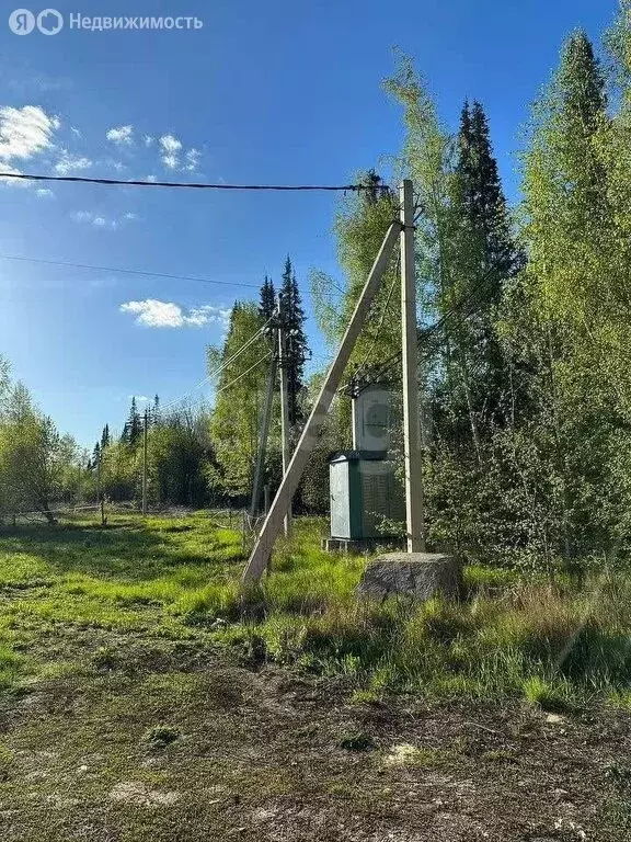 Участок в Ключ Жизни, улица Лесная Поляна (15 м) - Фото 1