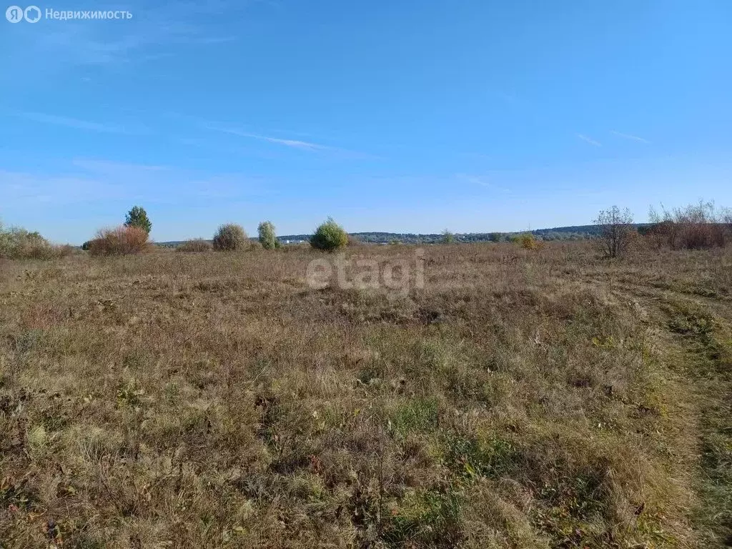 Участок в Нижегородская область, городской округ Выкса, рабочий ... - Фото 1