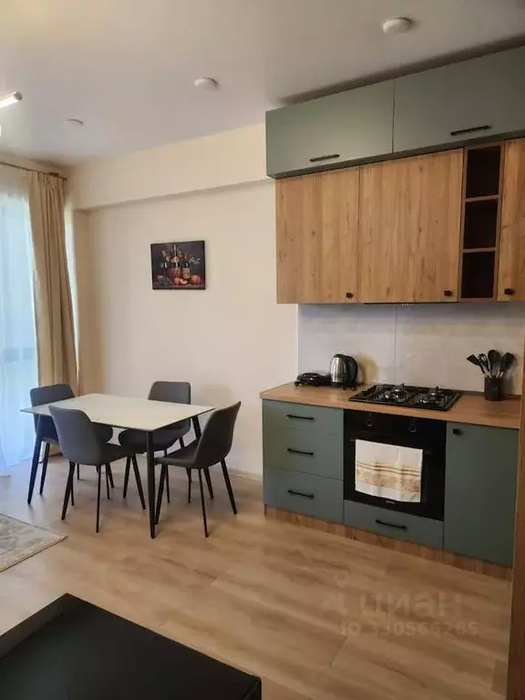 1-к кв. Краснодарский край, Сочи ул. Гагарина, 34 (35.0 м) - Фото 2