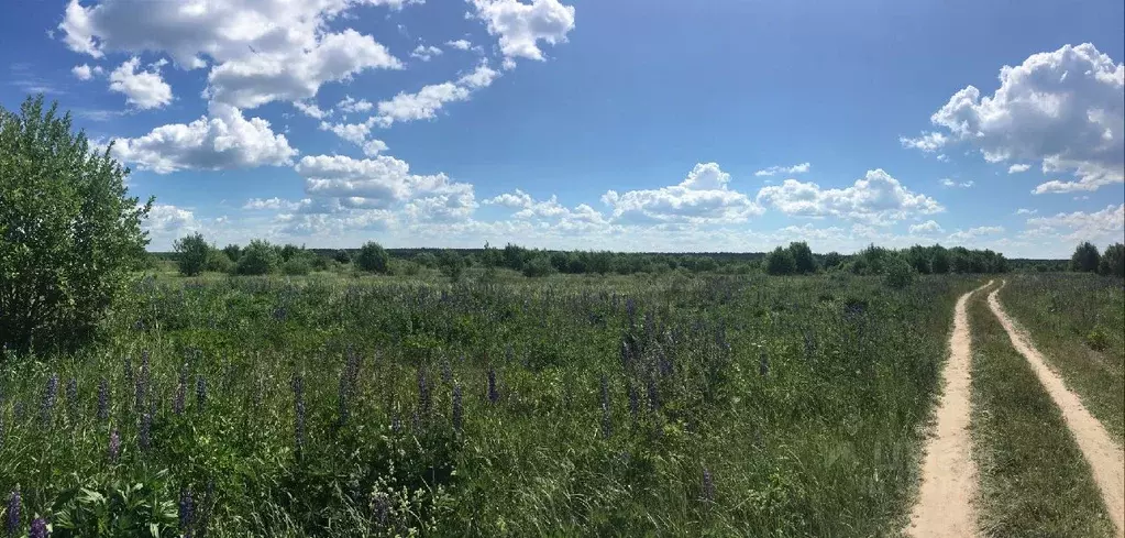 Участок в Нижегородская область, Кстово  (111.0 сот.) - Фото 1