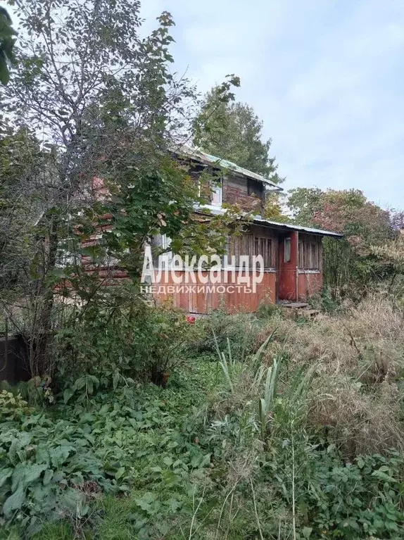 Дом в Ленинградская область, Выборг ул. Согласия, 74 (20 м) - Фото 1