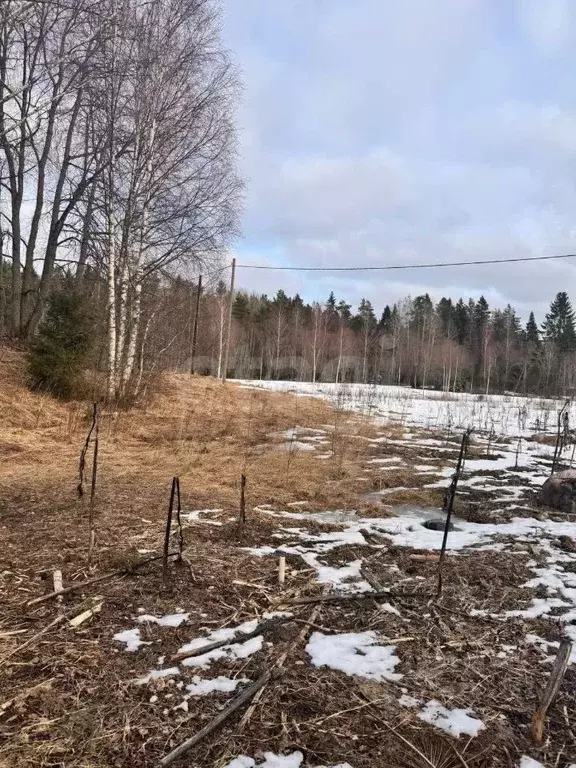 Участок в Ленинградская область, Приозерский район, Ларионовское ... - Фото 0