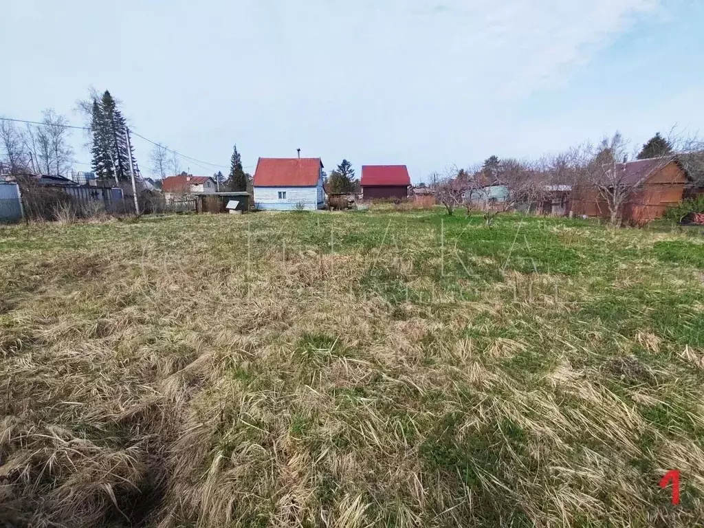 Дом в Ленинградская область, Ломоносовский район, Большеижорское ... - Фото 1