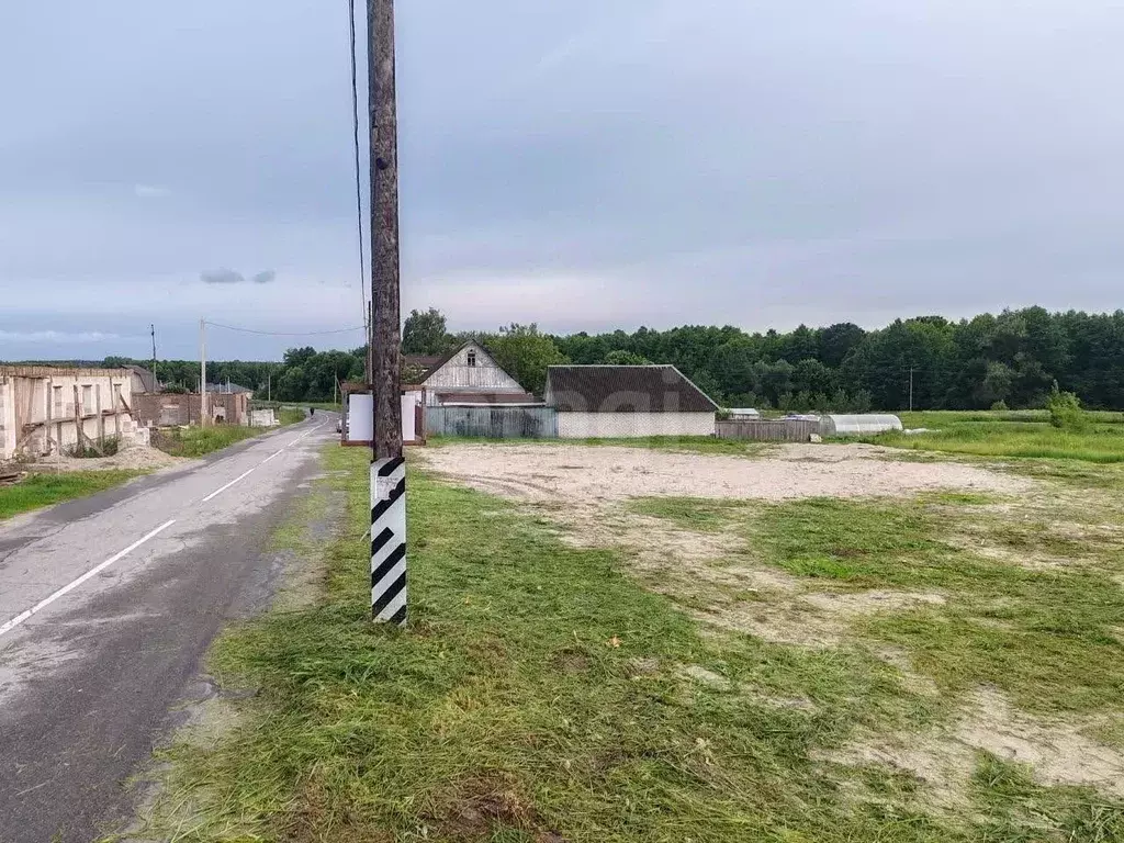 Участок в Брянская область, Брянский район, Новодарковичское с/пос, д. ... - Фото 1