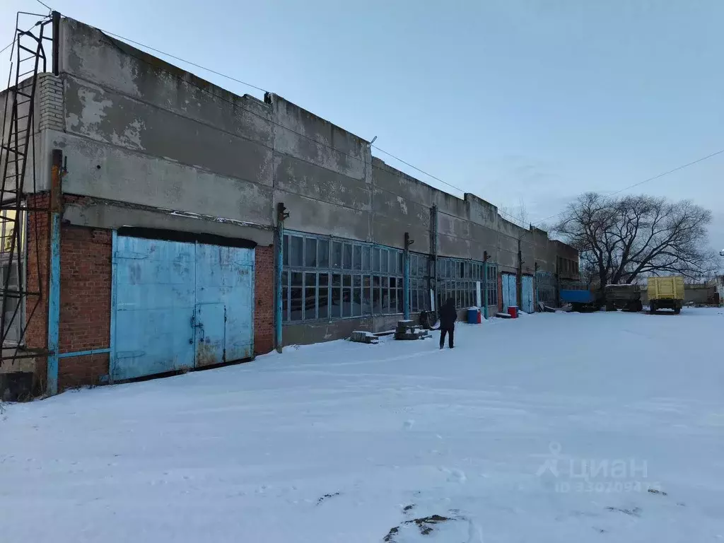 Помещение свободного назначения в Омская область, Омск ул. 10 лет ... - Фото 2