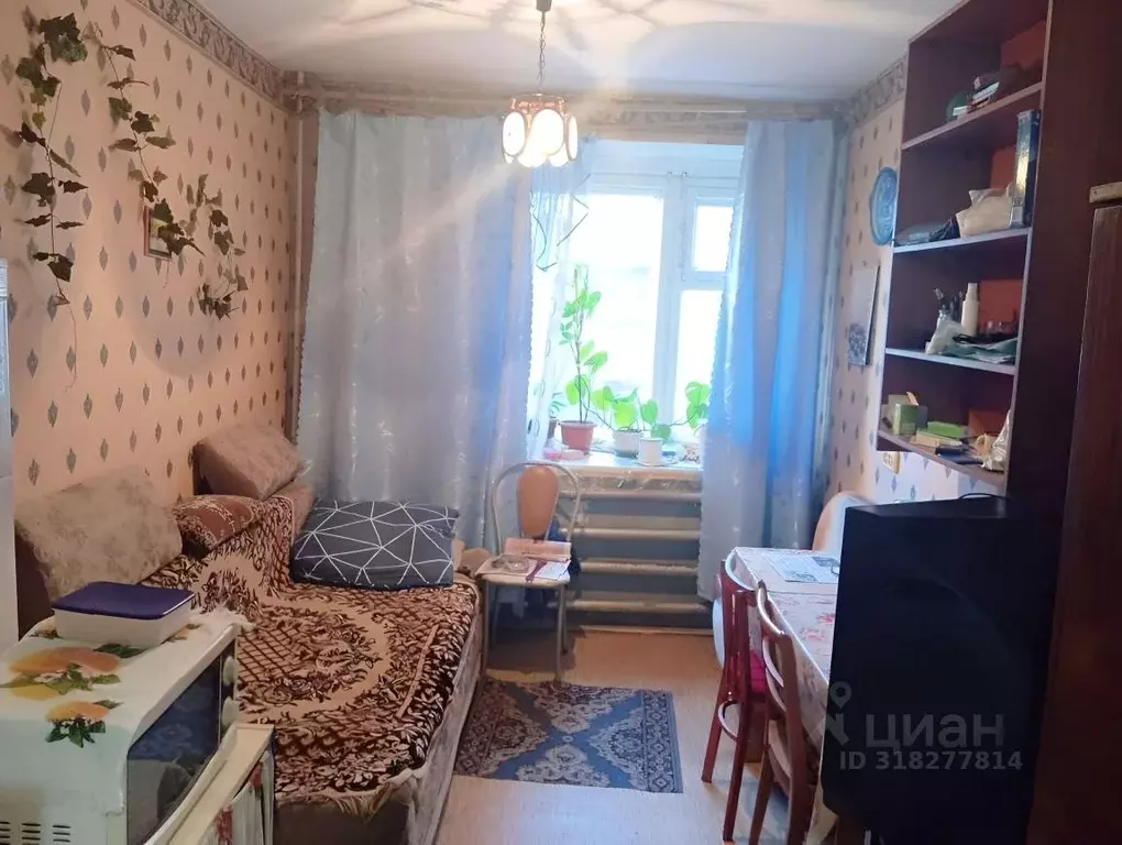 Комната Новосибирская область, Бердск ул. Попова, 35 - Фото 0