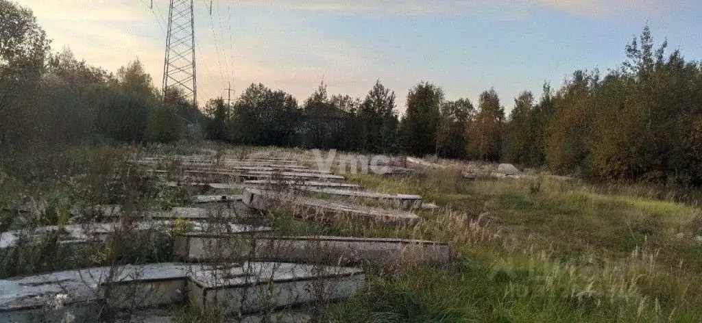 Помещение свободного назначения в Московская область, Мытищи городской ... - Фото 1