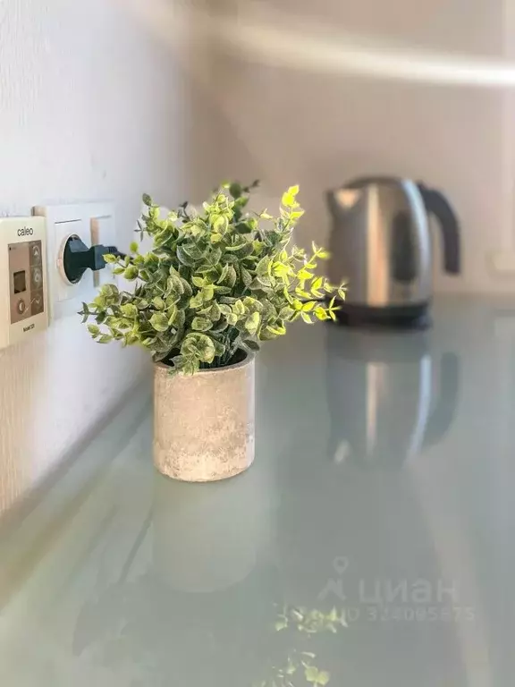 1-к кв. Мурманская область, Мурманск ул. Старостина, 17 (33.0 м) - Фото 2