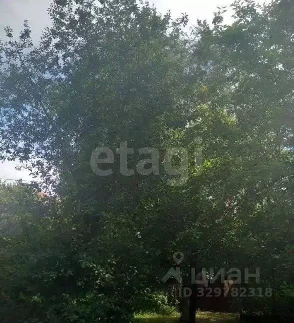 Участок в Московская область, Красногорск Черневская ул., 69 (6.0 ... - Фото 1