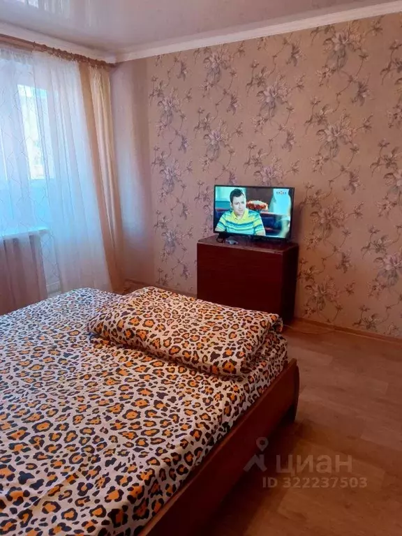 1-к кв. Пензенская область, Пенза ул. Глазунова, 3 (34.0 м) - Фото 2