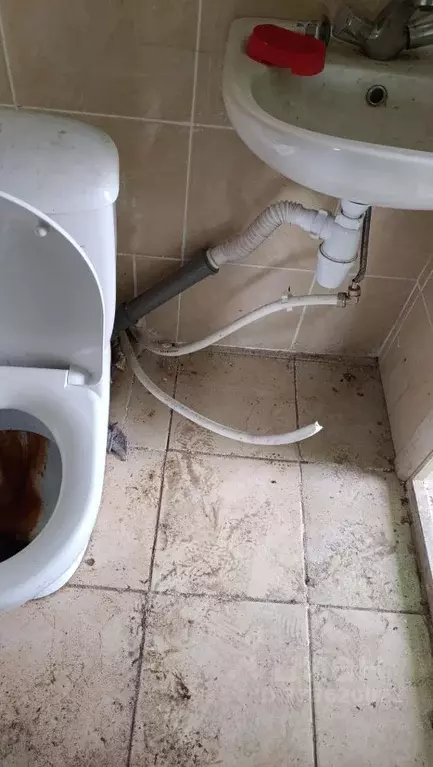 Помещение свободного назначения в Ленинградская область, Выборгский ... - Фото 2