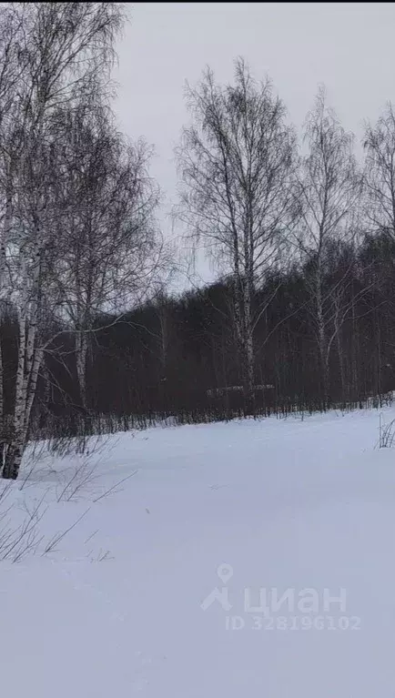 Участок в Татарстан, Пестречинский район, Богородское с/пос, пос. ... - Фото 1