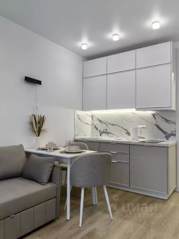 Студия Москва ул. Трехполье, 6к1 (20.0 м) - Фото 2