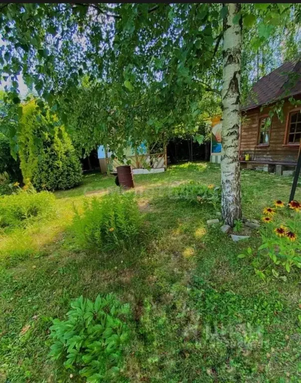 Участок в Московская область, Одинцовский городской округ, Горицвет ... - Фото 2