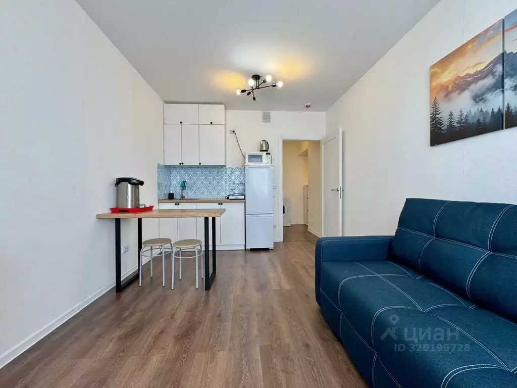 Студия Санкт-Петербург дор. Муринская, 29 (20.8 м) - Фото 1