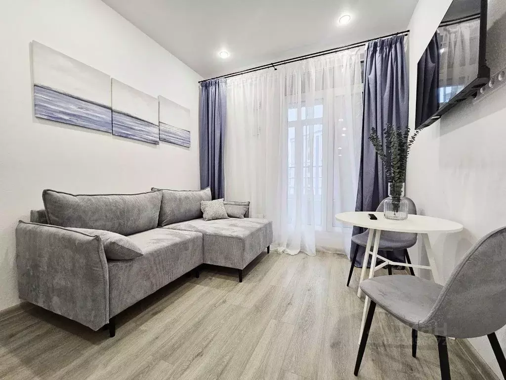 Студия Санкт-Петербург Ремесленная ул., 15 (20.3 м) - Фото 1