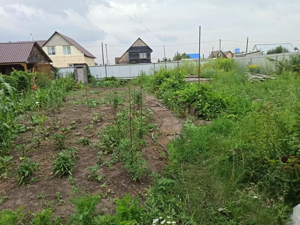 Участок в Алтайский край, Барнаул городской округ, с. Власиха, ... - Фото 1