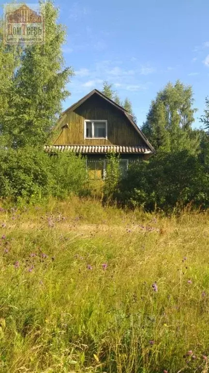 , д. Вышний волочек снт солнечная. Дачи в вышневолоцком районе. Циан вышний волочек. Циан вышний волочек.