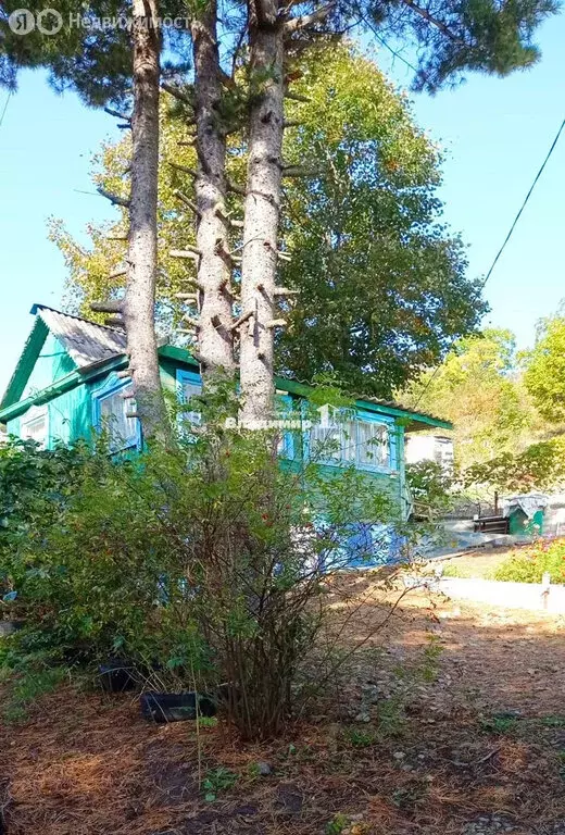 Дом в Находка, СНТ Находка, Центральная улица, 30 (25 м) - Фото 1