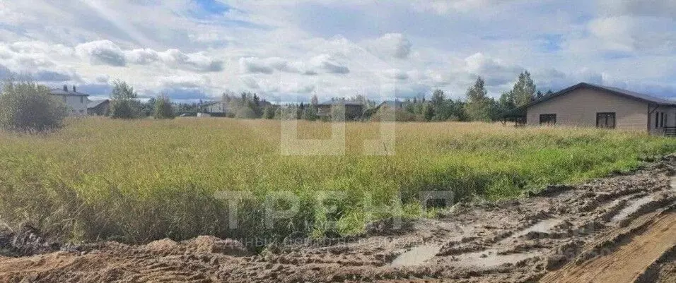 Участок в Ленинградская область, Ломоносовский район, Низинское с/пос, ... - Фото 1