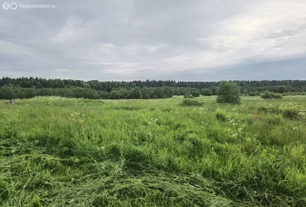 Участок в Вологодский муниципальный округ, деревня Семёновское ... - Фото 1