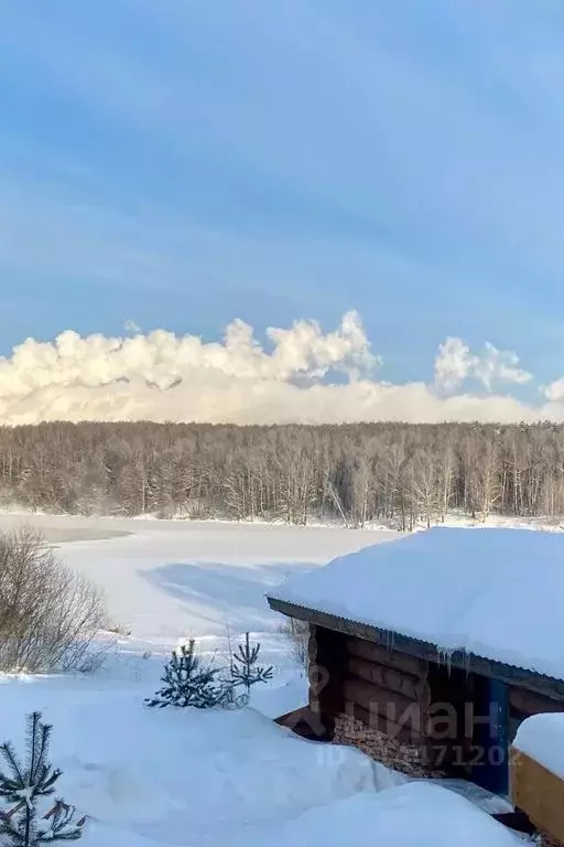 Дом в Московская область, Ленинский городской округ, д. Спасское 118 ... - Фото 0