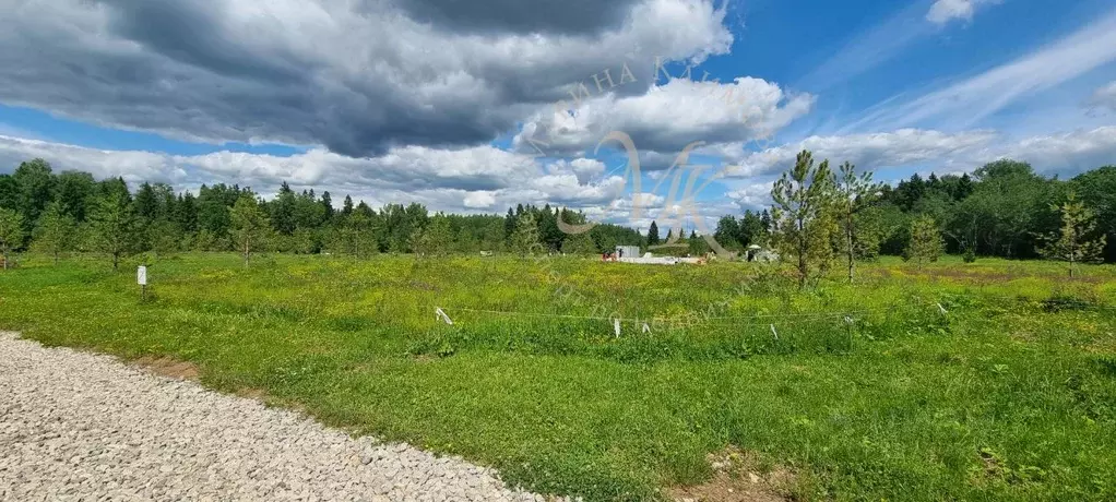 Участок в Московская область, Клин городской округ, д. Поджигородово  ... - Фото 2