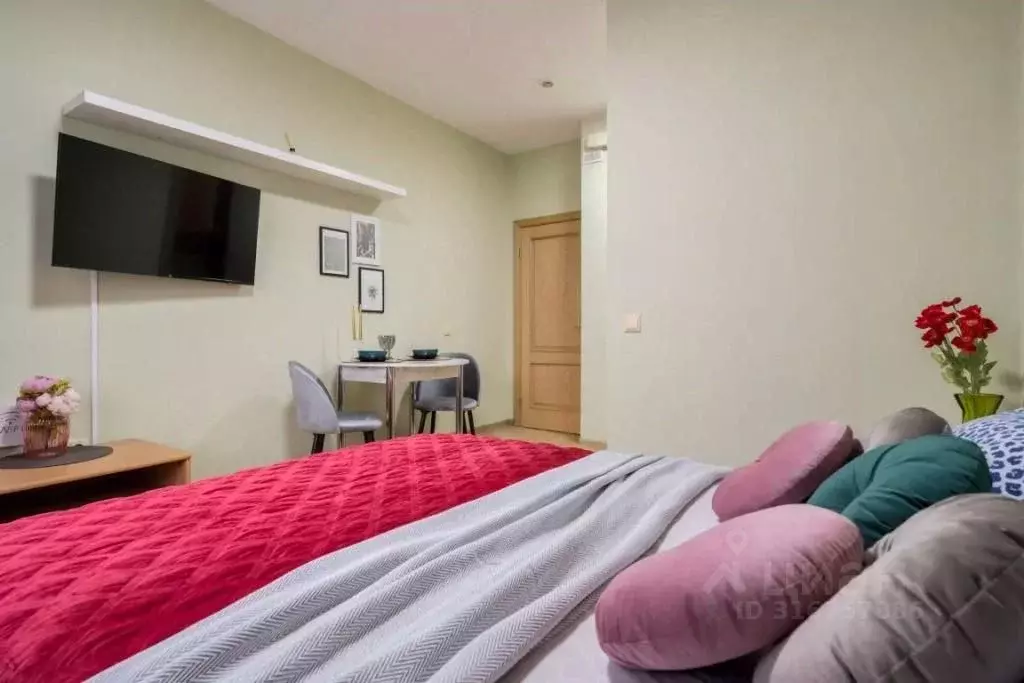1-к кв. Санкт-Петербург Коломяжский просп., 15к2 (30.0 м) - Фото 1