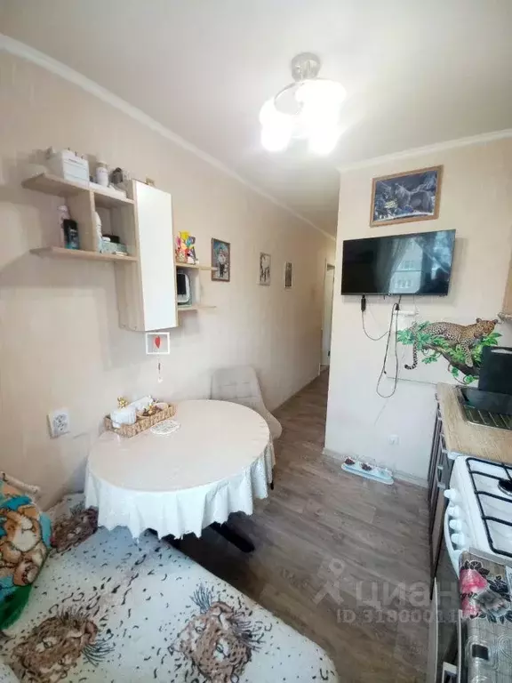 1-к кв. Пензенская область, Пенза Одесская ул., 2 (32.6 м) - Фото 1