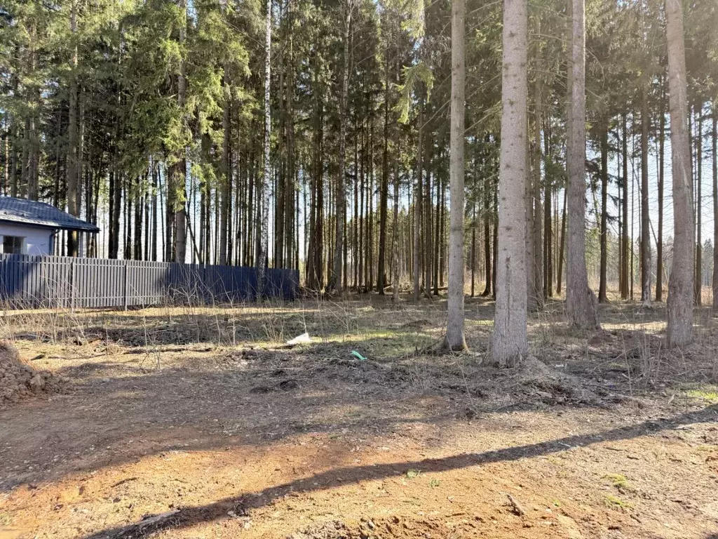 Участок в Московская область, Одинцовский городской округ, д. ... - Фото 2