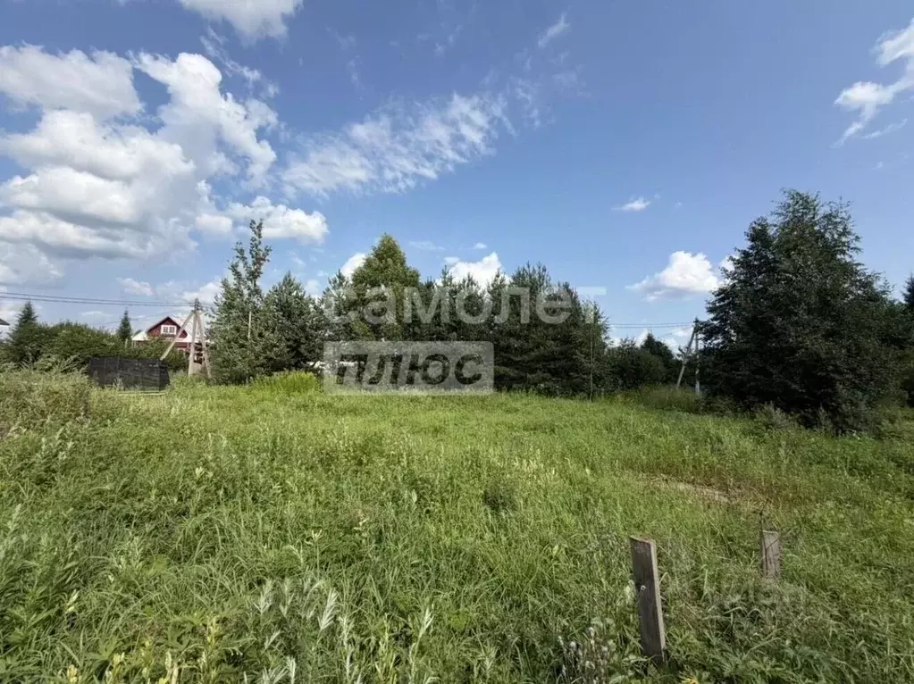 Участок в Вологодская область, д. Сулинское  (10.0 сот.) - Фото 1