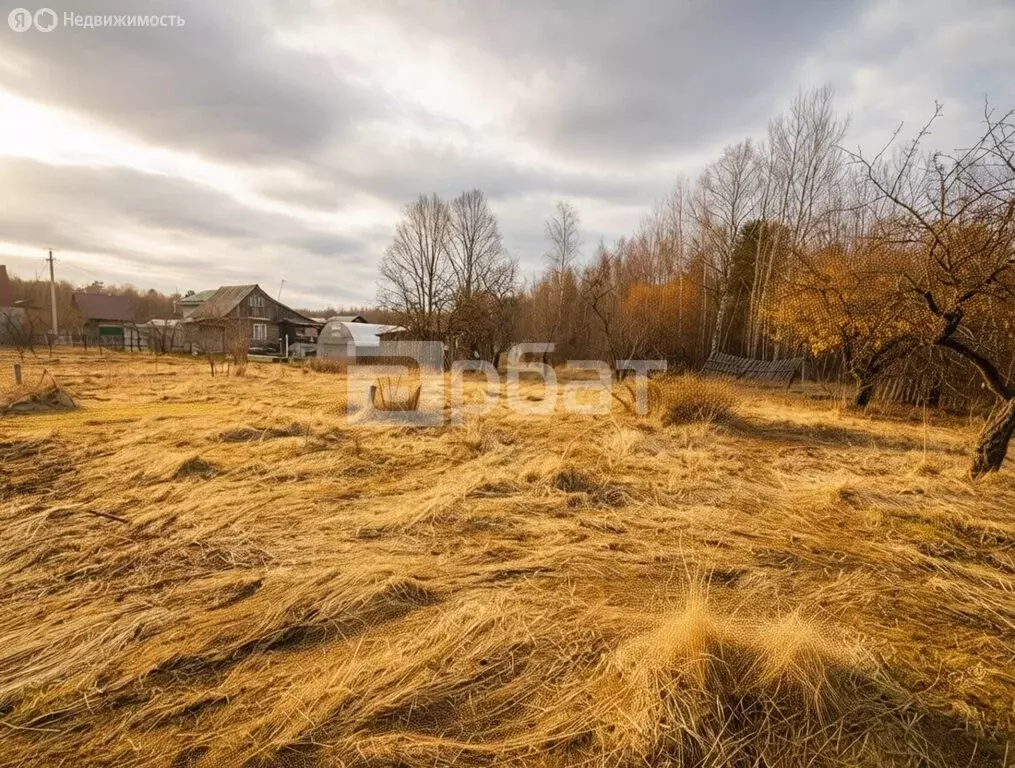 Дом в Ивановский муниципальный округ, СНТ Южный-5, 11-я Линия (20 м) - Фото 1